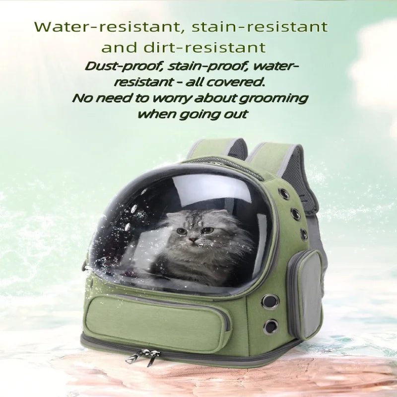 Sac capsuleTransparent pour chat🐯🐯