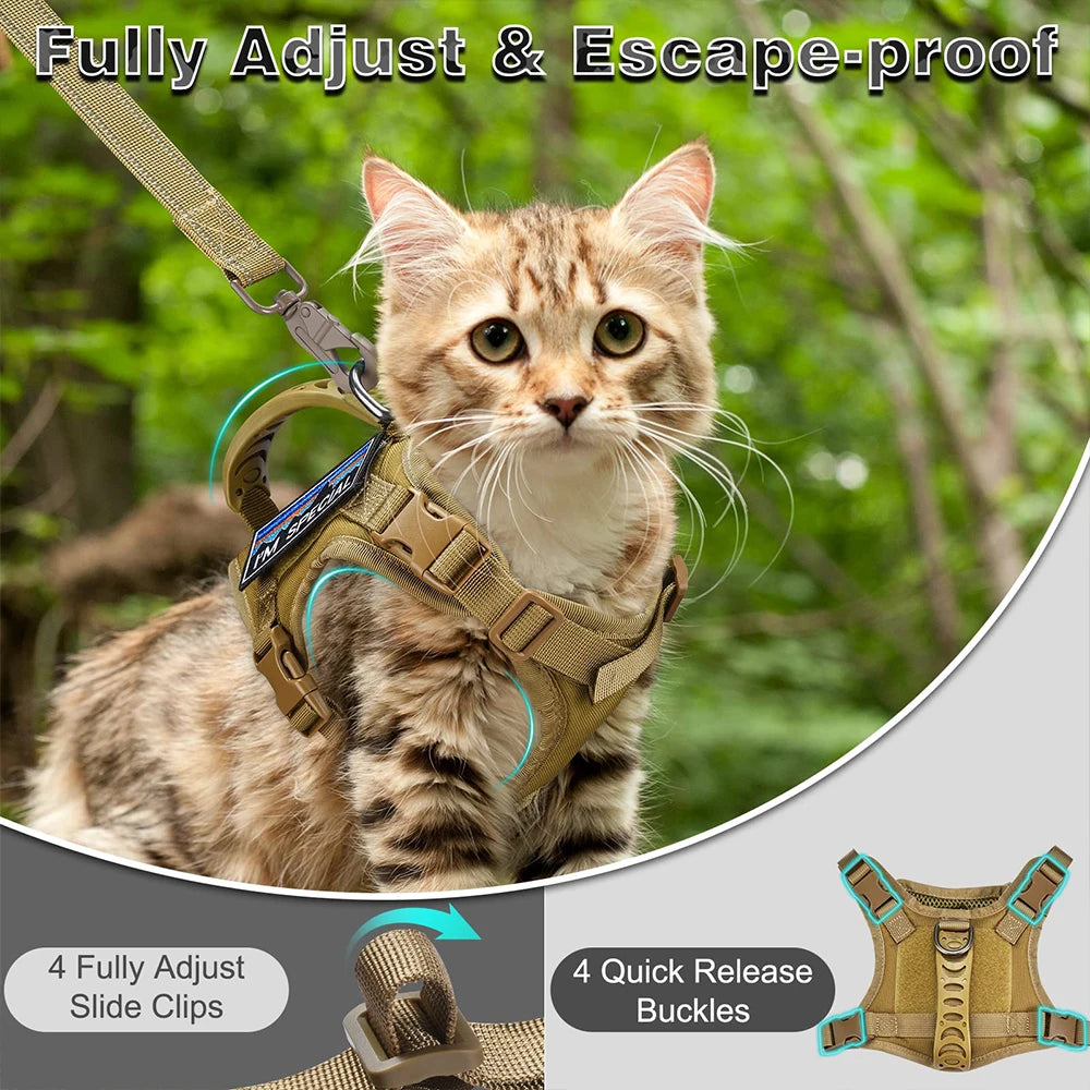 Harnais anti-fugue pour chat